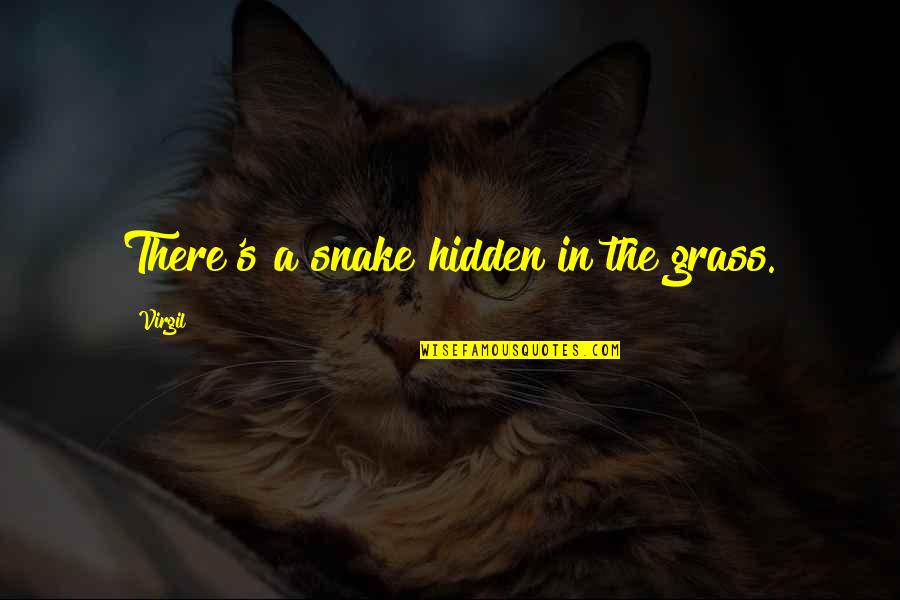 Grass's Quotes By Virgil: There's a snake hidden in the grass.