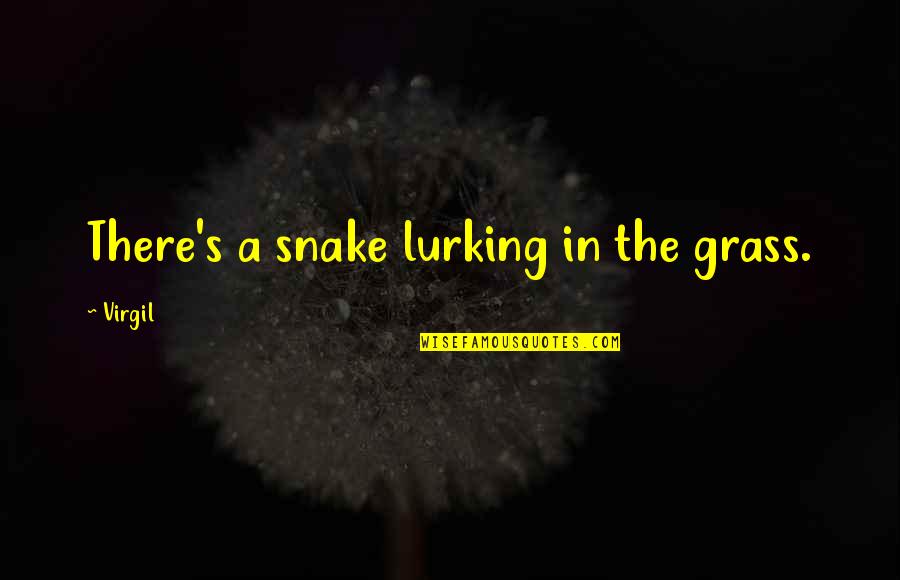 Grass's Quotes By Virgil: There's a snake lurking in the grass.