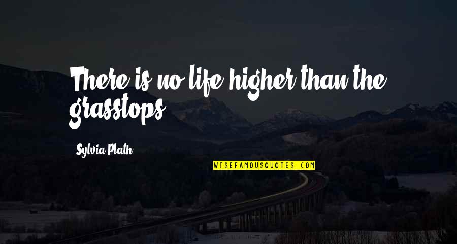 Grasstops Versus Quotes By Sylvia Plath: There is no life higher than the grasstops Grasstops Versus Quotes By Sylvia Plath: There is no life higher than the grasstops