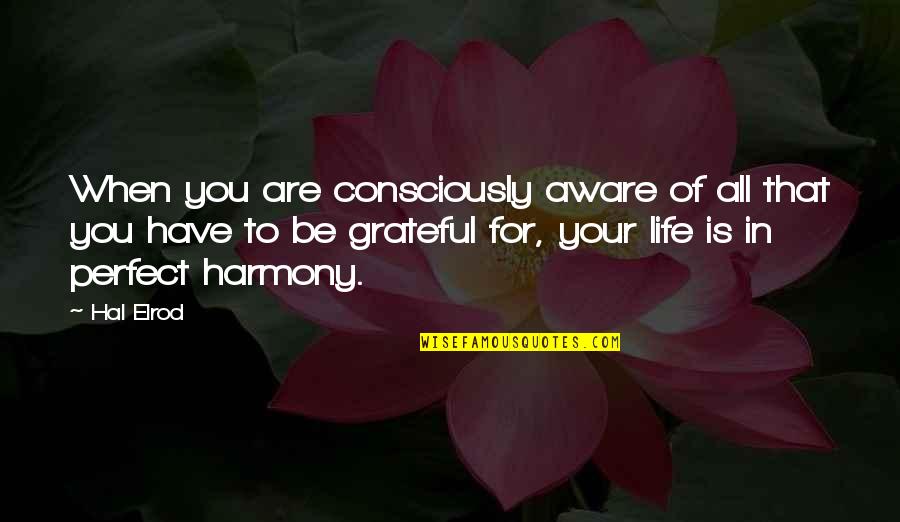 Grateful For You Quotes By Hal Elrod: When you are consciously aware of all that