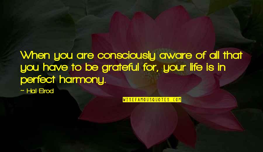 Grateful Have You Quotes By Hal Elrod: When you are consciously aware of all that