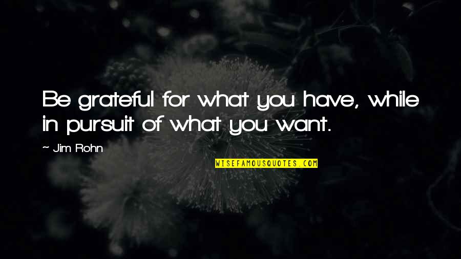 Grateful Have You Quotes By Jim Rohn: Be grateful for what you have, while in