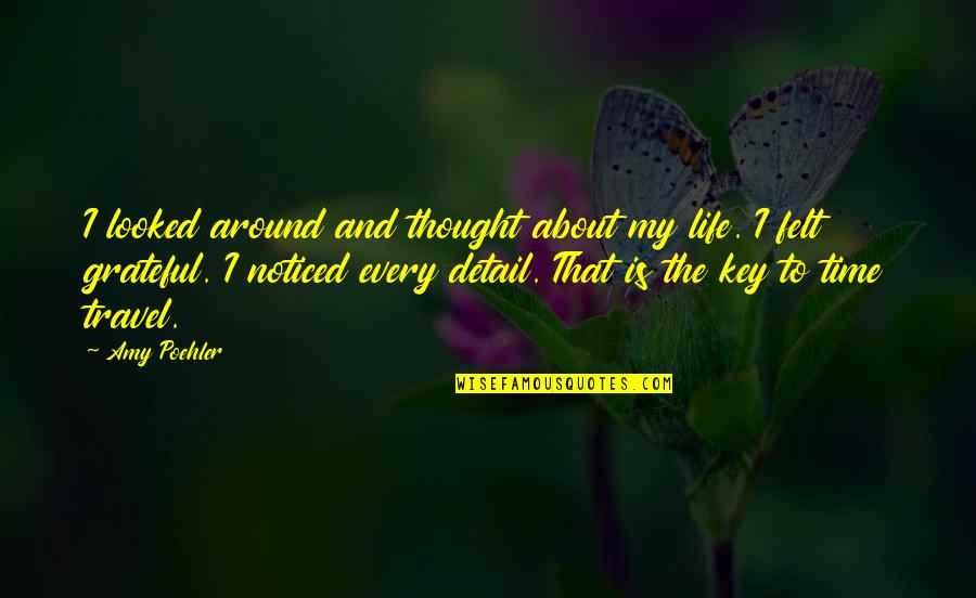 Grateful To Life Quotes By Amy Poehler: I looked around and thought about my life.