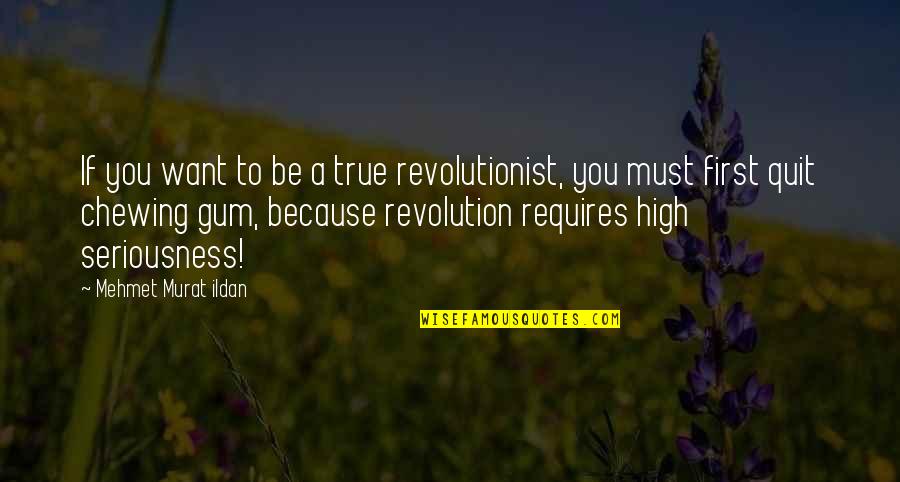 Gratefulness Christian Quotes By Mehmet Murat Ildan: If you want to be a true revolutionist, Gratefulness Christian Quotes By Mehmet Murat Ildan: If you want to be a true revolutionist,