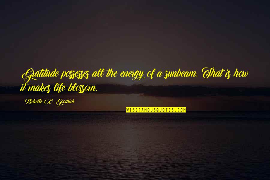 Gratefulness Of Life Quotes By Richelle E. Goodrich: Gratitude possesses all the energy of a sunbeam.