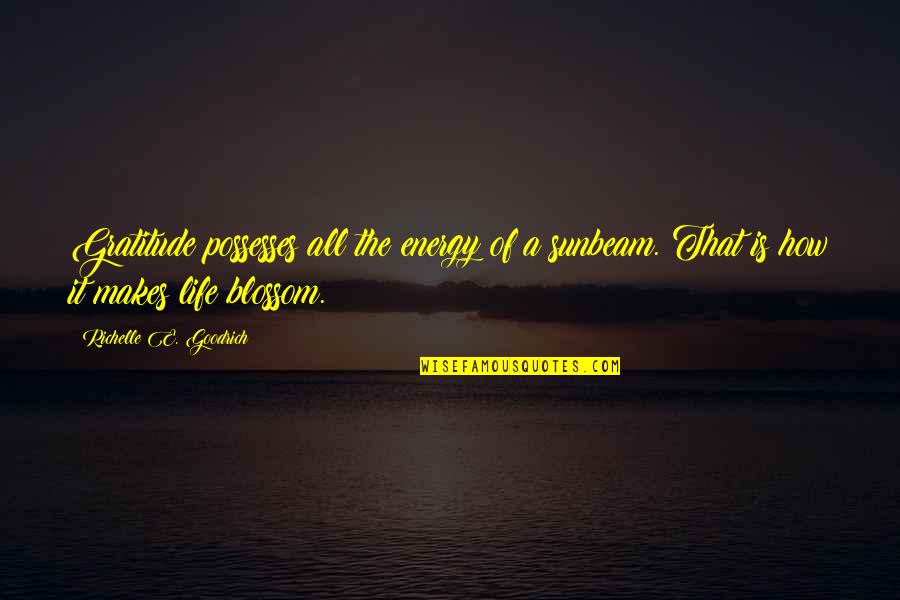 Gratefulness Quotes By Richelle E. Goodrich: Gratitude possesses all the energy of a sunbeam. Gratefulness Quotes By Richelle E. Goodrich: Gratitude possesses all the energy of a sunbeam.