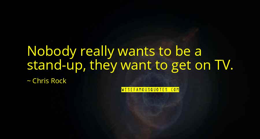 Grates And Grills Quotes By Chris Rock: Nobody really wants to be a stand-up, they