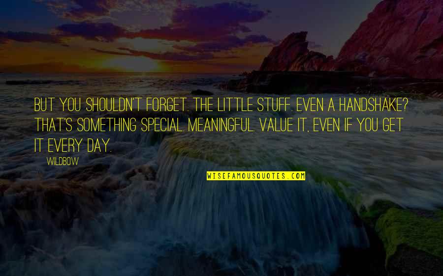 Gratifiers Quotes By Wildbow: But you shouldn't forget. The little stuff. Even Gratifiers Quotes By Wildbow: But you shouldn't forget. The little stuff. Even