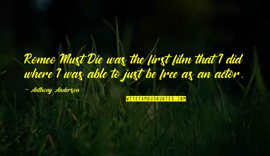 Gratifying Green Quotes By Anthony Anderson: Romeo Must Die was the first film that