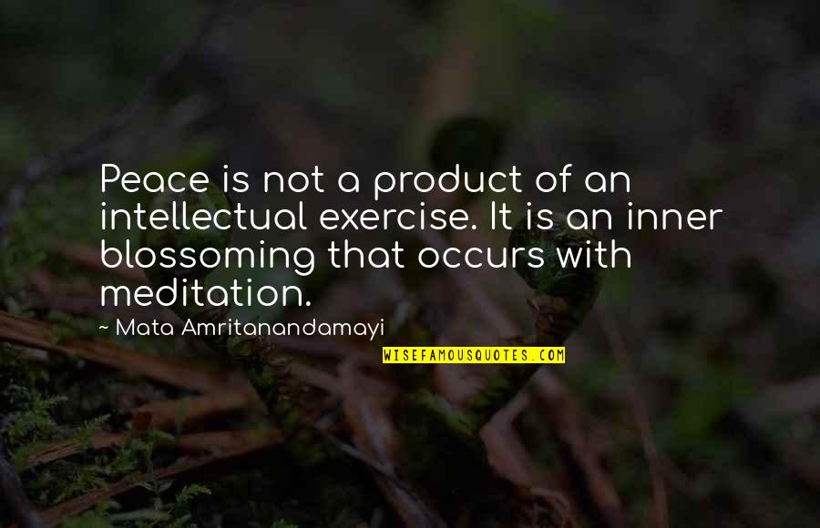 Gratitude Emerson Quotes By Mata Amritanandamayi: Peace is not a product of an intellectual