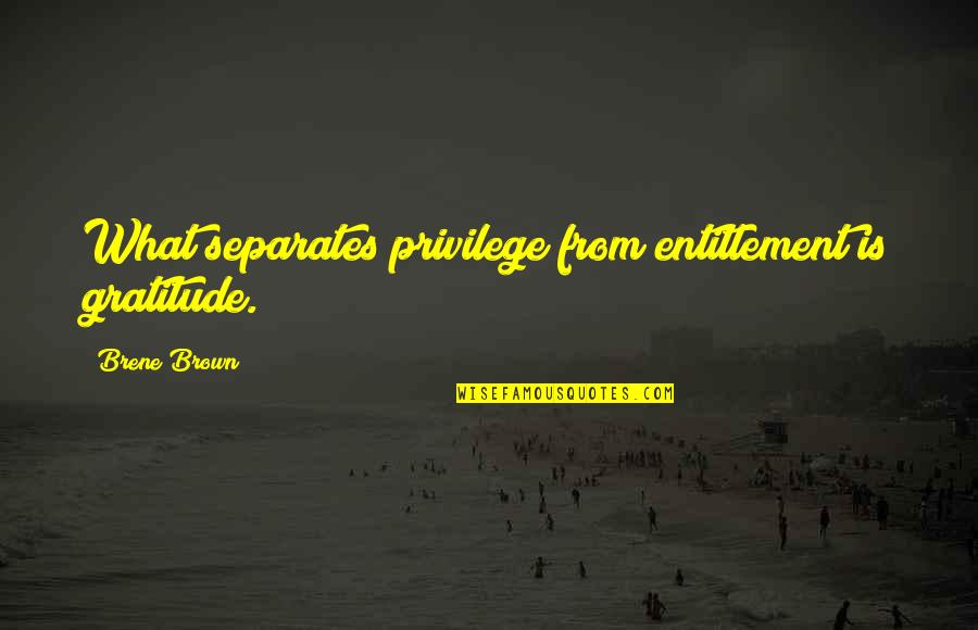 Gratitude For Gifts Quotes By Brene Brown: What separates privilege from entitlement is gratitude.