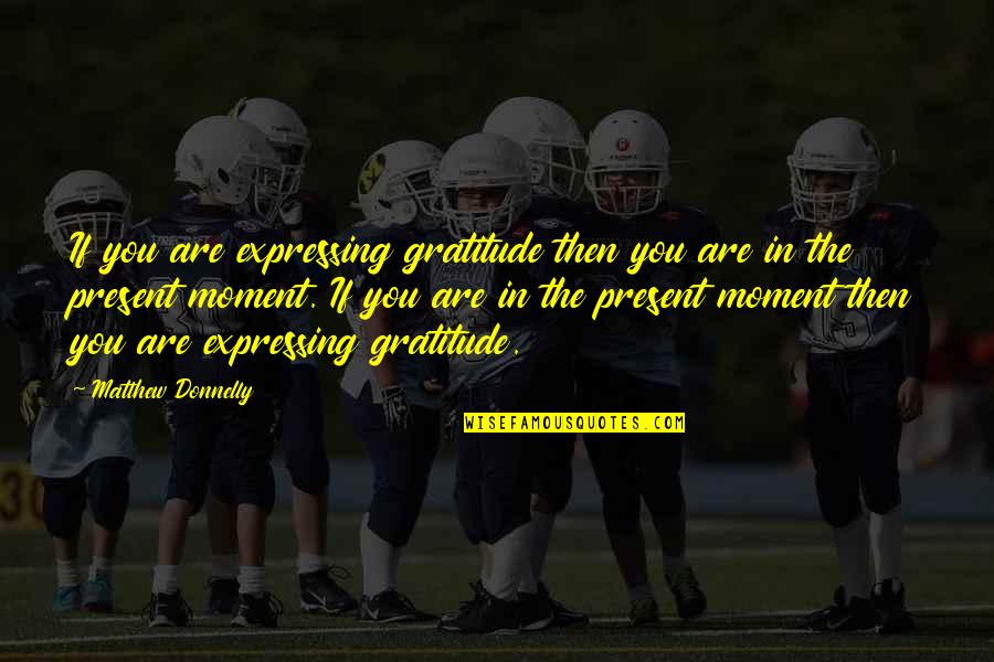 Gratitude For Help Quotes By Matthew Donnelly: If you are expressing gratitude then you are