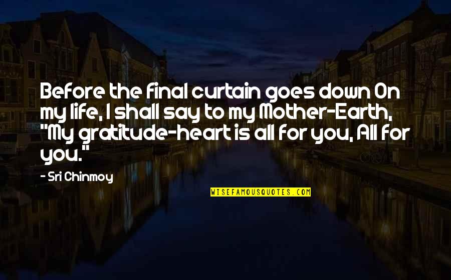 Gratitude For Mother Quotes By Sri Chinmoy: Before the final curtain goes down On my