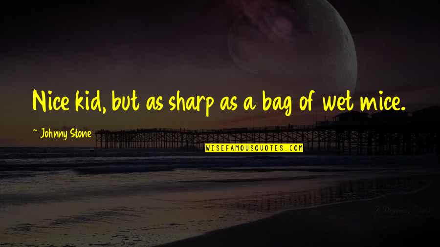 Gratitude For Someone Quotes By Johnny Stone: Nice kid, but as sharp as a bag Gratitude For Someone Quotes By Johnny Stone: Nice kid, but as sharp as a bag