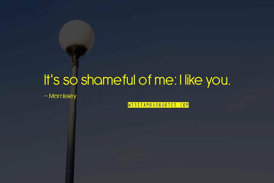 Gratitude Garden Quotes By Morrissey: It's so shameful of me: I like you. Gratitude Garden Quotes By Morrissey: It's so shameful of me: I like you.