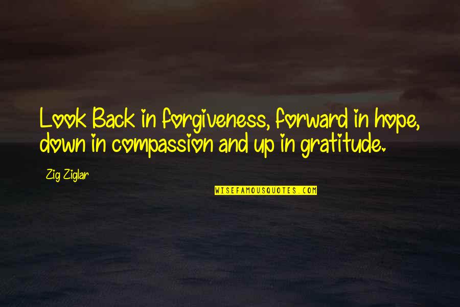 Gratitude In Business Quotes By Zig Ziglar: Look Back in forgiveness, forward in hope, down