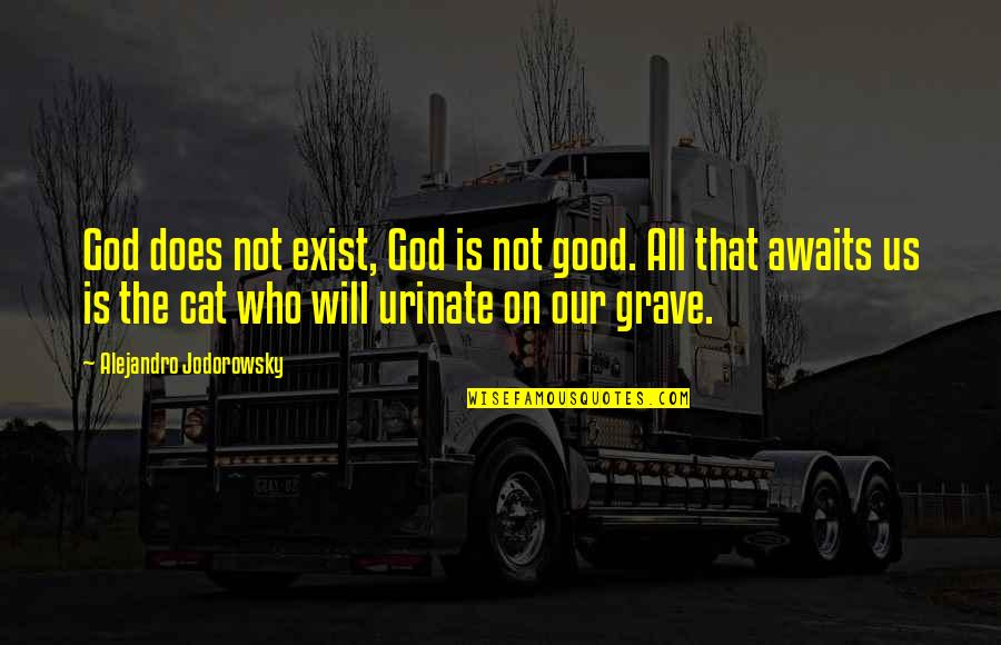 Grave Quotes By Alejandro Jodorowsky: God does not exist, God is not good.