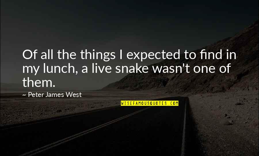 Gravediggers Suicide Quotes By Peter James West: Of all the things I expected to find Gravediggers Suicide Quotes By Peter James West: Of all the things I expected to find