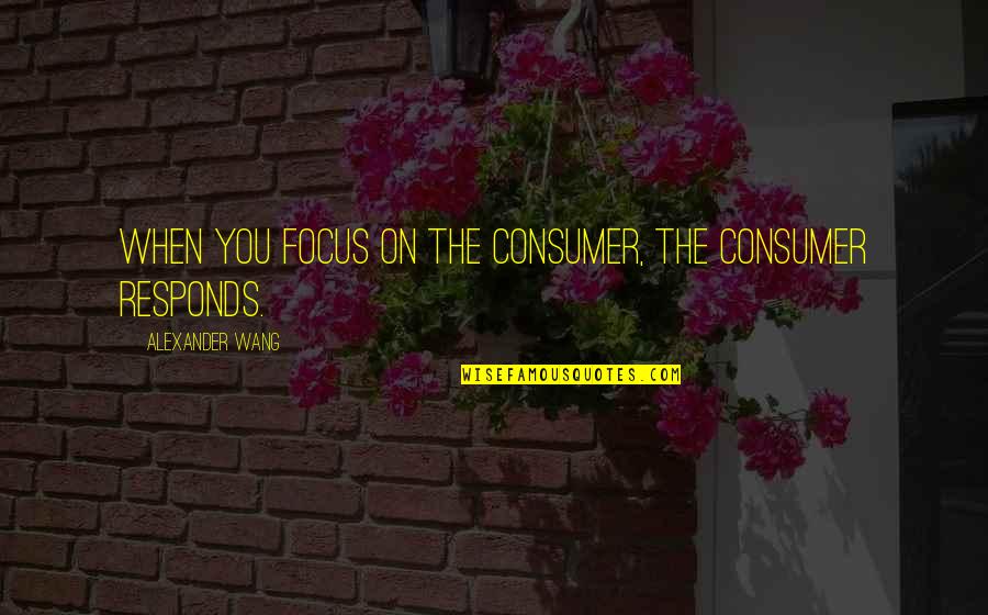 Gravels For Betta Quotes By Alexander Wang: When you focus on the consumer, the consumer Gravels For Betta Quotes By Alexander Wang: When you focus on the consumer, the consumer