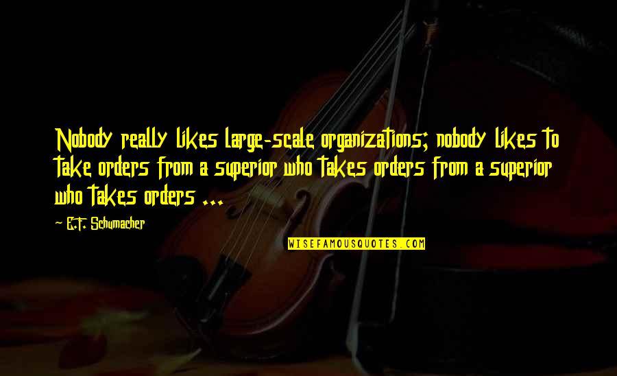 Gravels For Betta Quotes By E.F. Schumacher: Nobody really likes large-scale organizations; nobody likes to Gravels For Betta Quotes By E.F. Schumacher: Nobody really likes large-scale organizations; nobody likes to