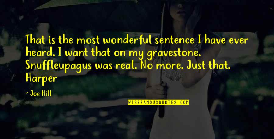 Gravestone Quotes By Joe Hill: That is the most wonderful sentence I have