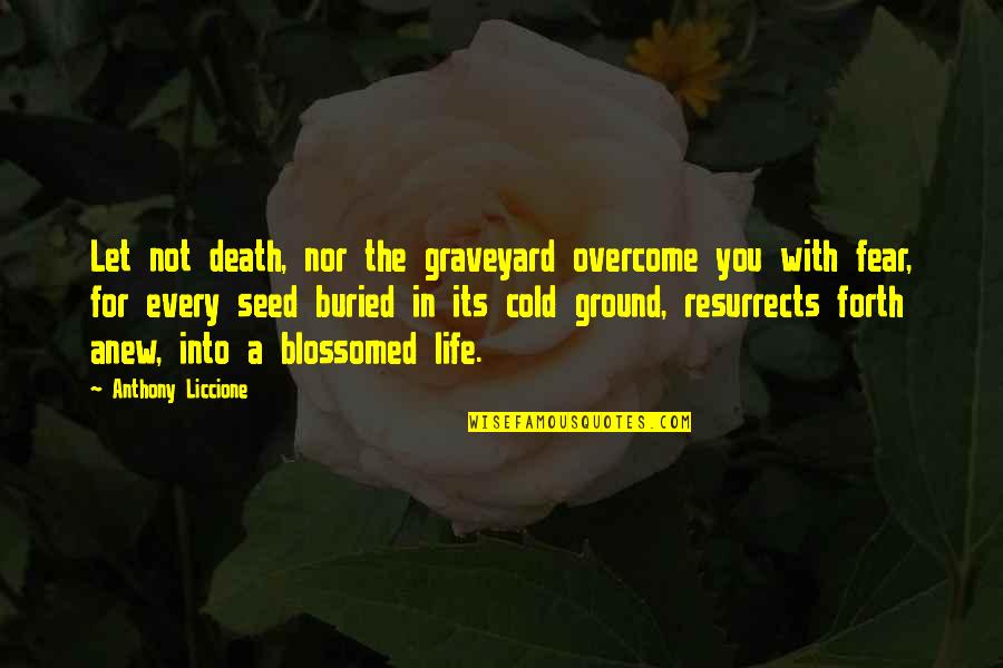 Graveyard Of Life Quotes By Anthony Liccione: Let not death, nor the graveyard overcome you Graveyard Of Life Quotes By Anthony Liccione: Let not death, nor the graveyard overcome you