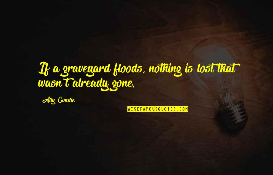Graveyard Quotes By Ally Condie: If a graveyard floods, nothing is lost that