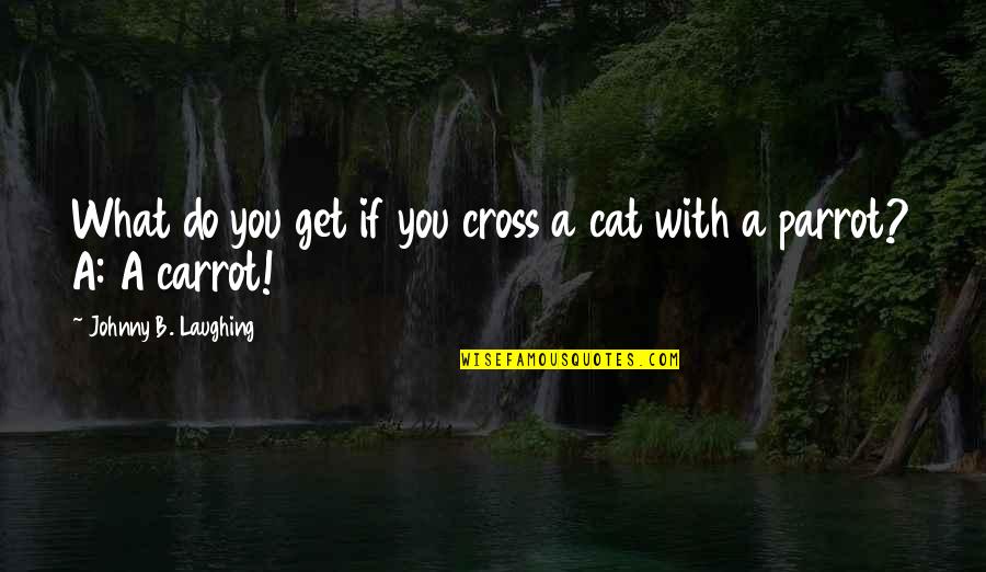 Gravinate Quotes By Johnny B. Laughing: What do you get if you cross a