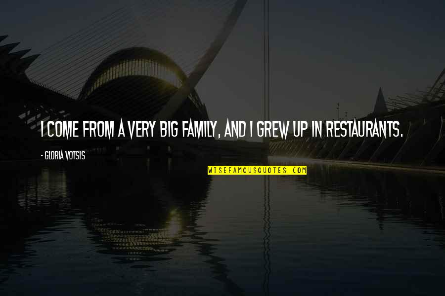 Graving Quotes By Gloria Votsis: I come from a very big family, and