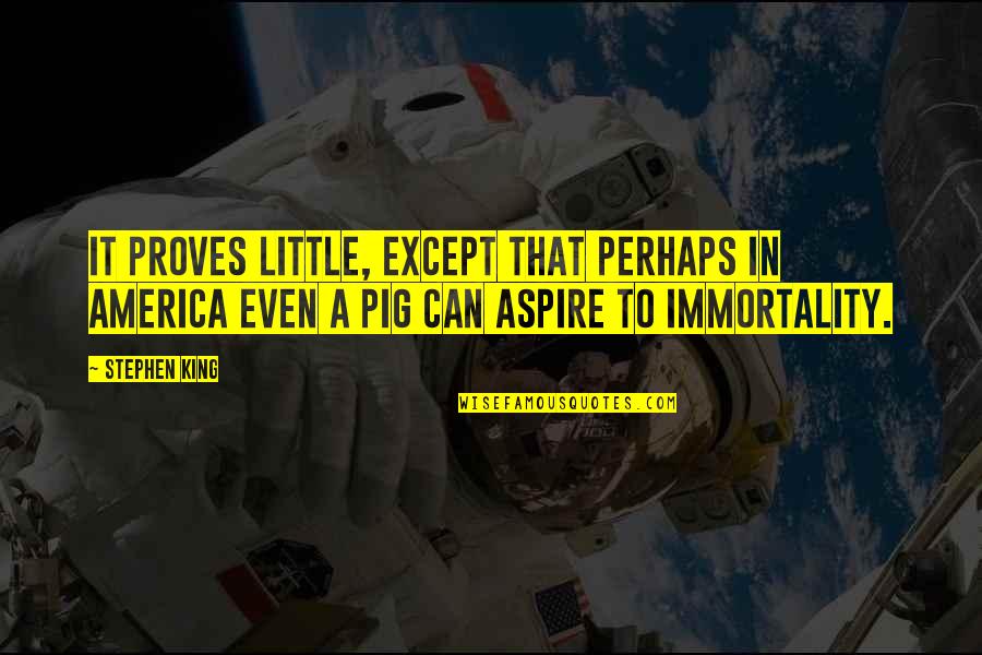 Gravinol Quotes By Stephen King: It proves little, except that perhaps in America Gravinol Quotes By Stephen King: It proves little, except that perhaps in America