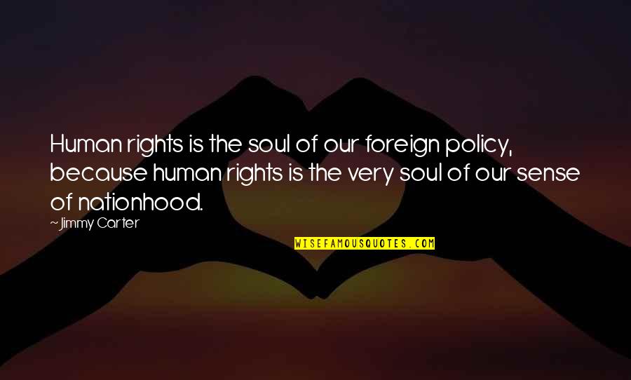 Graviola Sula Quotes By Jimmy Carter: Human rights is the soul of our foreign