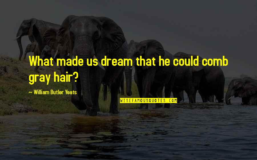Gray Hair Quotes By William Butler Yeats: What made us dream that he could comb