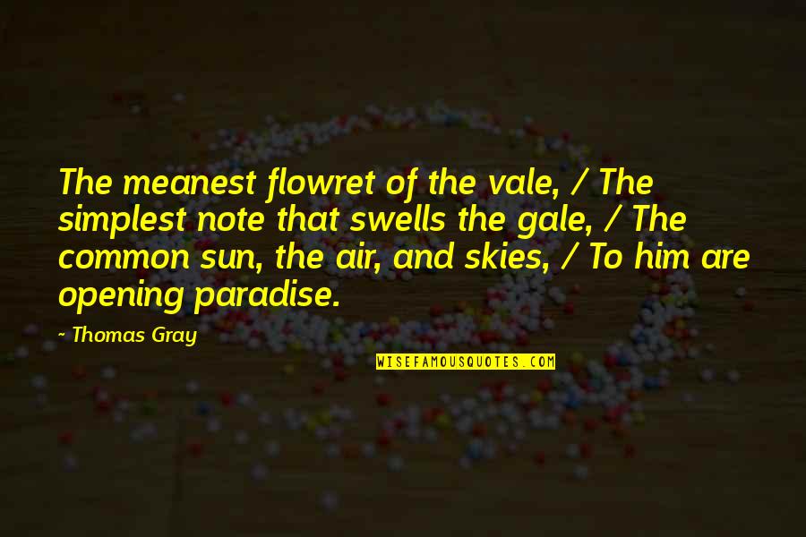 Gray Sky Quotes By Thomas Gray: The meanest flowret of the vale, / The