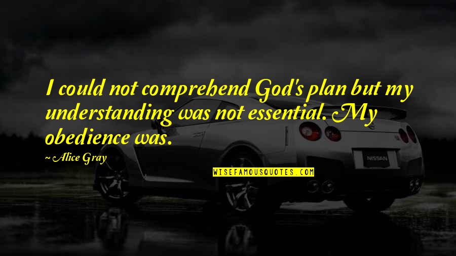 Gray's Quotes By Alice Gray: I could not comprehend God's plan but my Gray's Quotes By Alice Gray: I could not comprehend God's plan but my