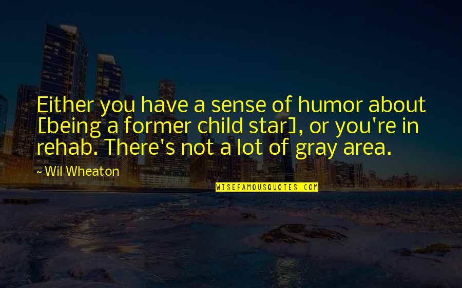 Gray's Quotes By Wil Wheaton: Either you have a sense of humor about