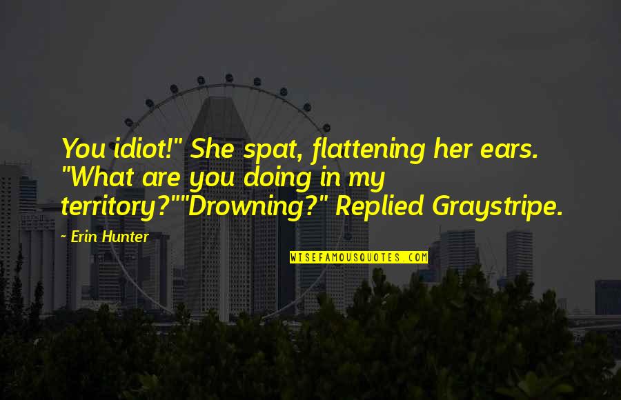 Graystripe Quotes By Erin Hunter: You idiot!" She spat, flattening her ears. "What