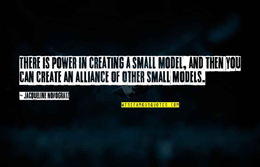 Graziela Jewelry Quotes By Jacqueline Novogratz: There is power in creating a small model,
