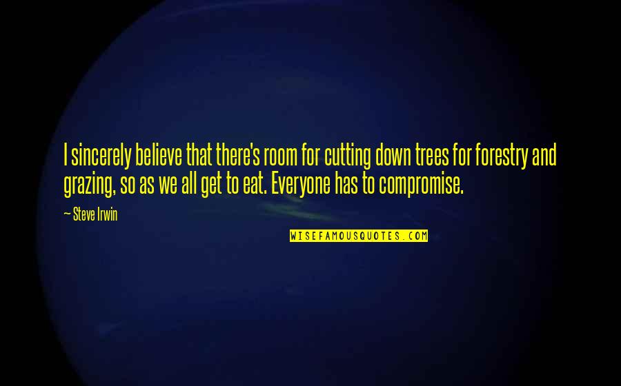 Grazing Cow Quotes By Steve Irwin: I sincerely believe that there's room for cutting