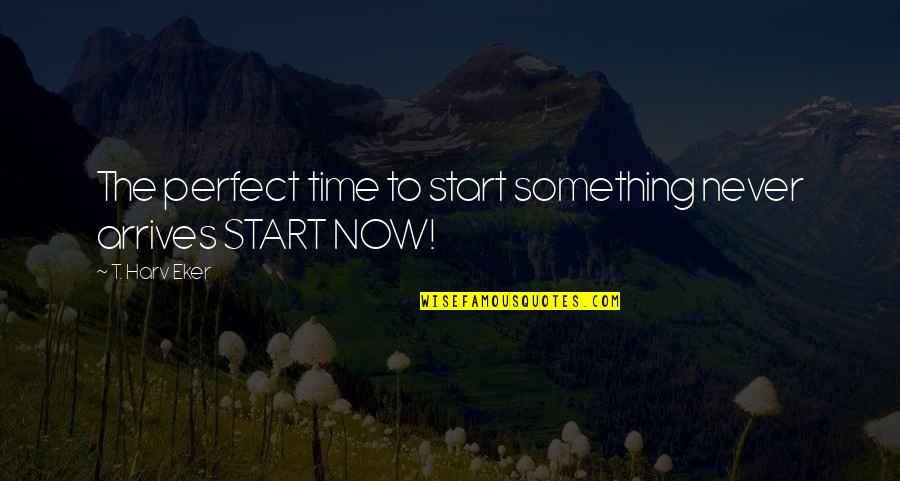 Grazzini Winery Quotes By T. Harv Eker: The perfect time to start something never arrives