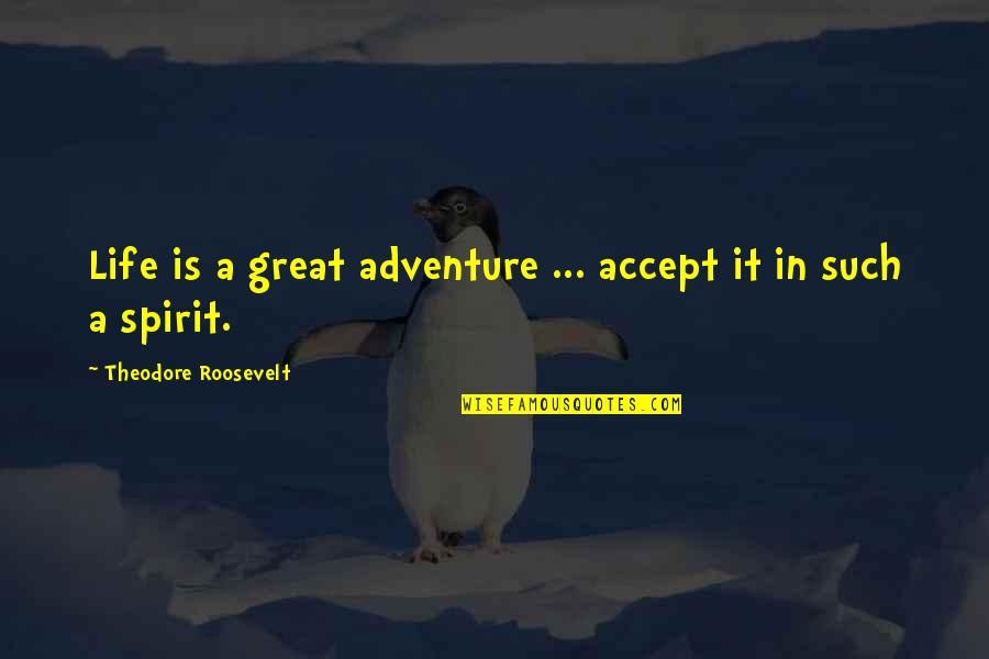 Great Adventure Quotes By Theodore Roosevelt: Life is a great adventure ... accept it