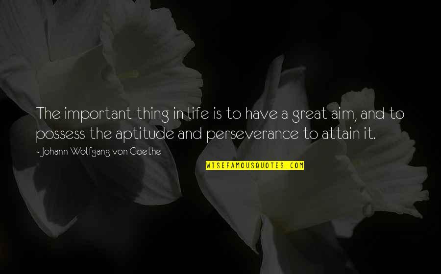 Great Aim Quotes By Johann Wolfgang Von Goethe: The important thing in life is to have