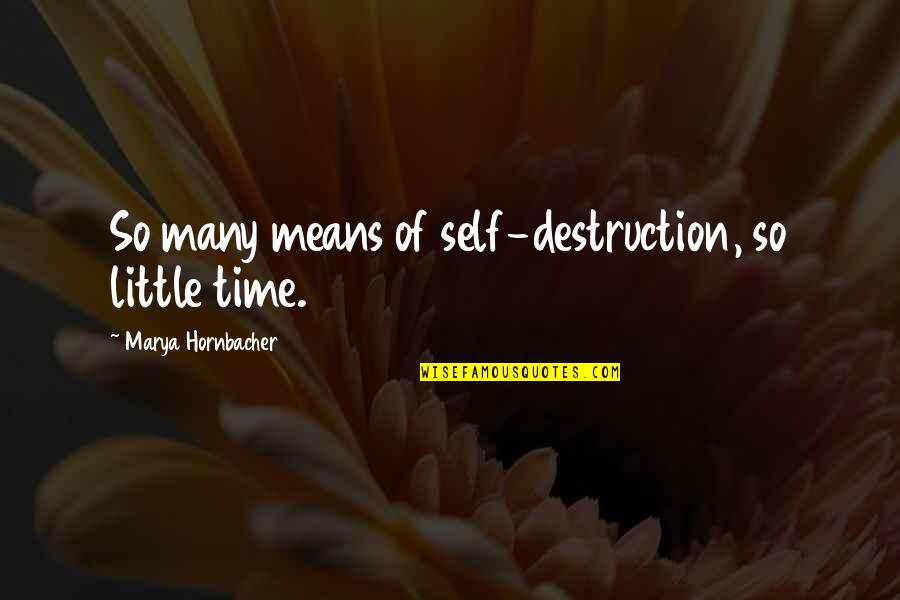 Great Aim Quotes By Marya Hornbacher: So many means of self-destruction, so little time.