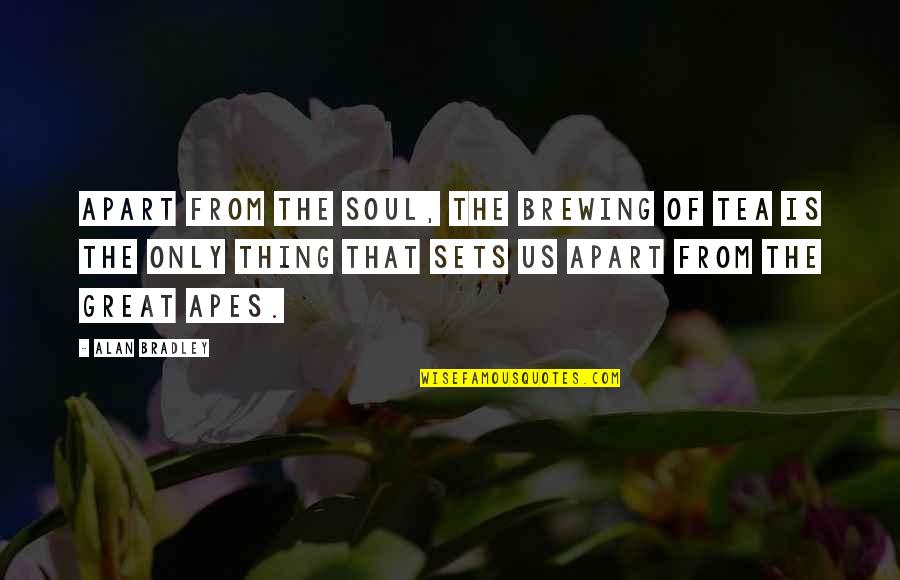 Great Apes Quotes By Alan Bradley: Apart from the soul, the brewing of tea