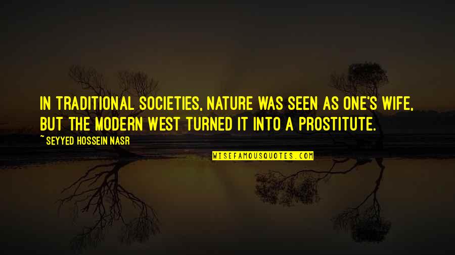 Great Bangs Quotes By Seyyed Hossein Nasr: In traditional societies, nature was seen as one's