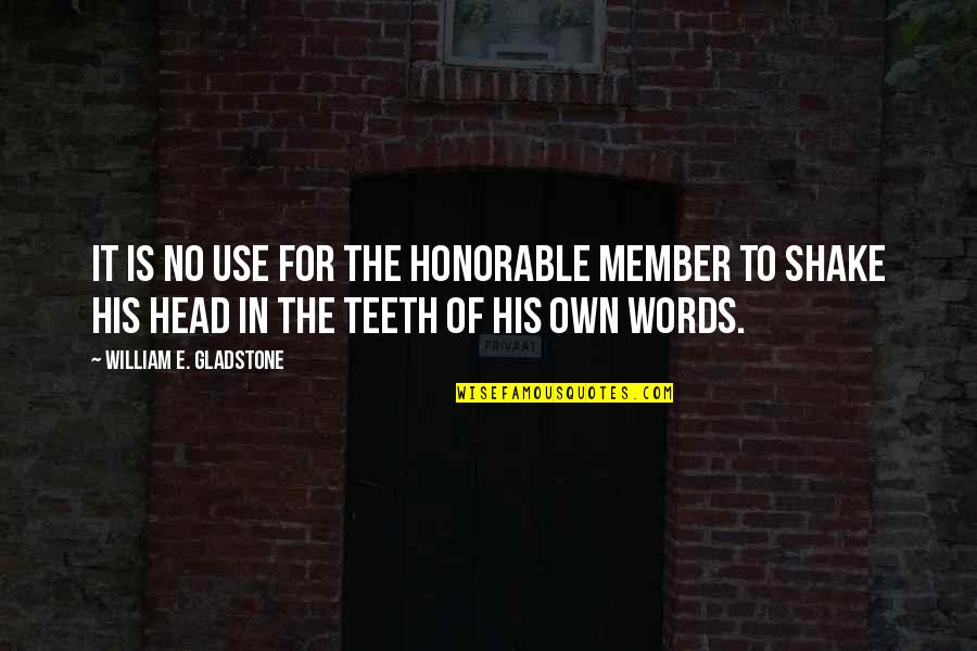 Great Bassist Quotes By William E. Gladstone: It is no use for the honorable member