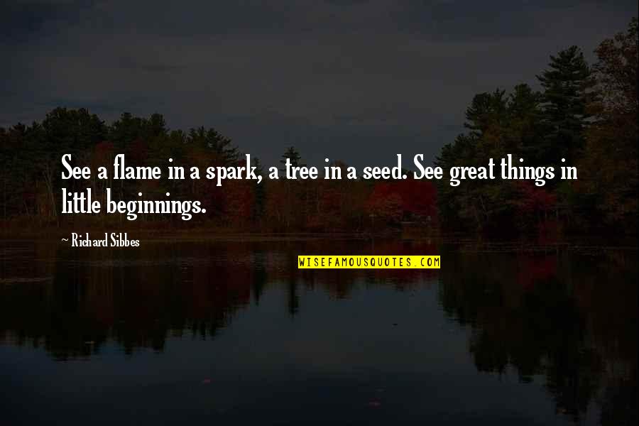 Great Beginnings Quotes By Richard Sibbes: See a flame in a spark, a tree