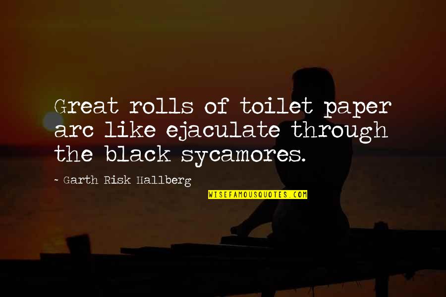 Great Black Quotes By Garth Risk Hallberg: Great rolls of toilet paper arc like ejaculate