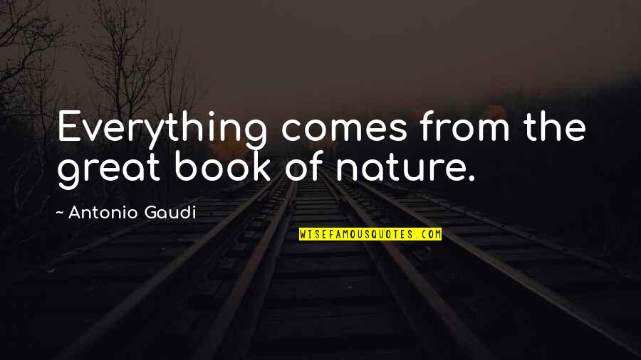 Great Book Of Quotes By Antonio Gaudi: Everything comes from the great book of nature.