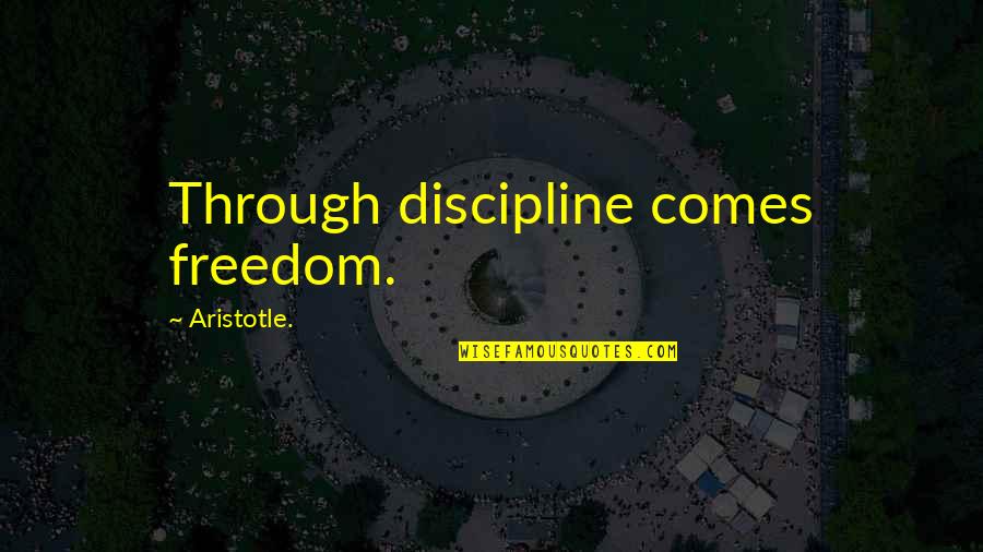 Great Book Review Quotes By Aristotle.: Through discipline comes freedom.