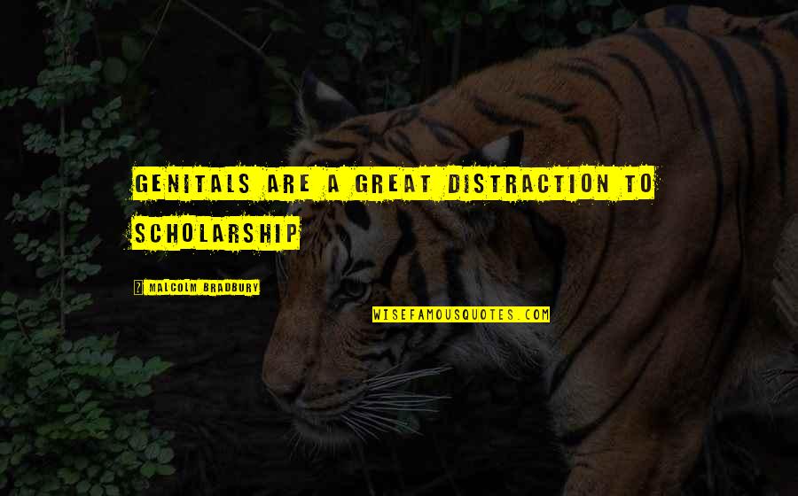 Great British With Quotes By Malcolm Bradbury: Genitals are a great distraction to scholarship Great British With Quotes By Malcolm Bradbury: Genitals are a great distraction to scholarship
